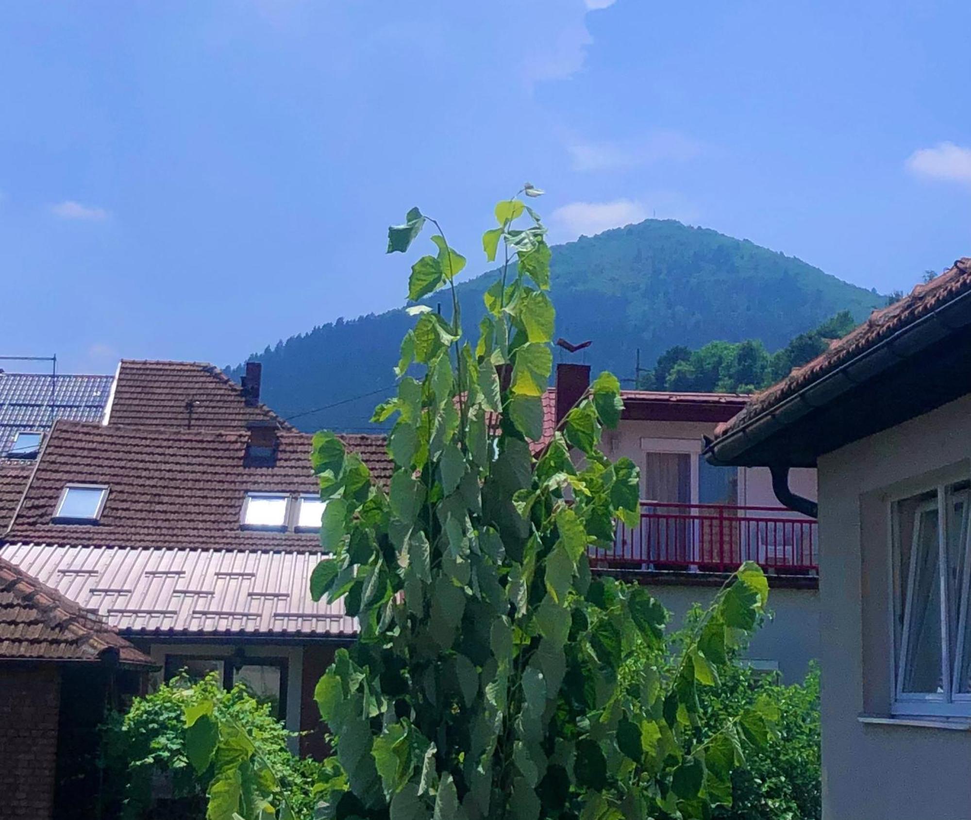 Apartman Balkan Visoko Exterior photo